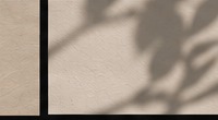 Shadow study on plaster